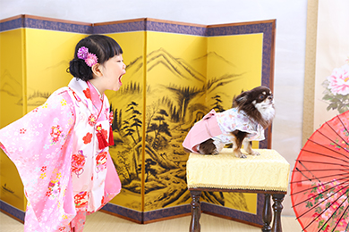 新松戸店 / 女の子 / ペット撮影 / 七五三（753）