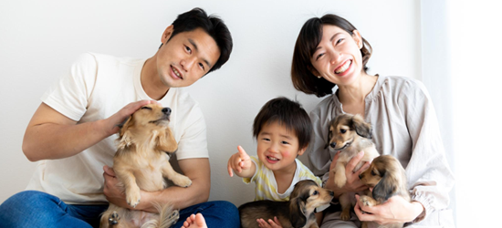 犬も一緒に入った家族写真を撮るなら写真館・フォトスタジオがおすすめ