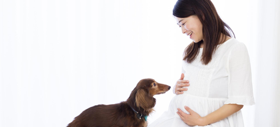 愛犬と一緒にマタニティフォトを撮影するなら！プランの詳細や実例を紹介