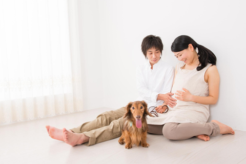 愛犬と一緒にマタニティフォトを撮影できる場所は多い?