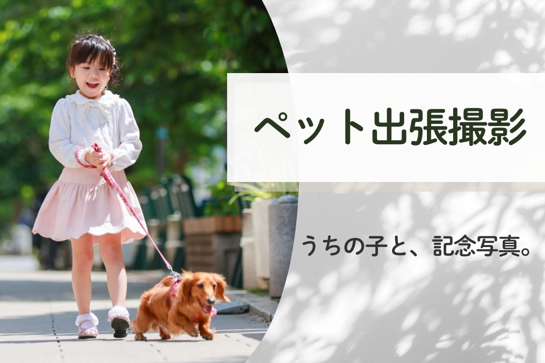 大切な家族の一員と、今だけの思い出を残しませんか？ ハピリィのペット出張撮影サービスがスタート！