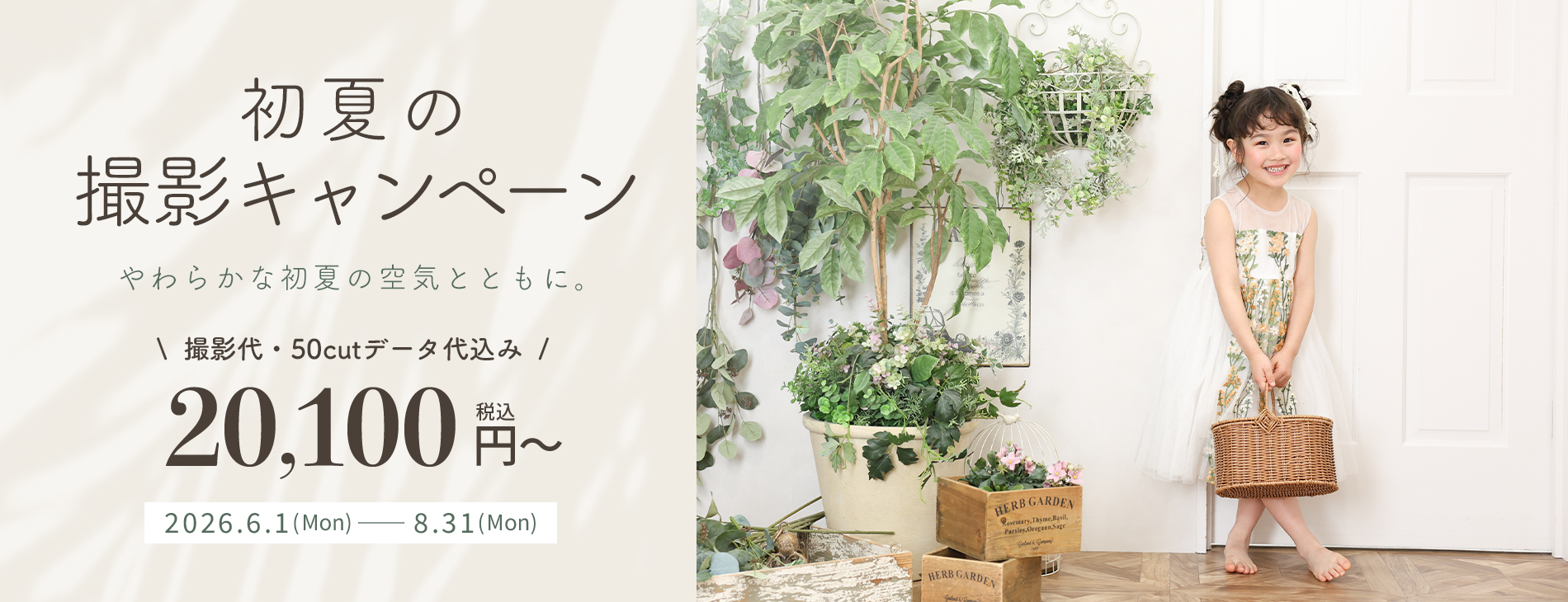 初夏の撮影キャンペーン