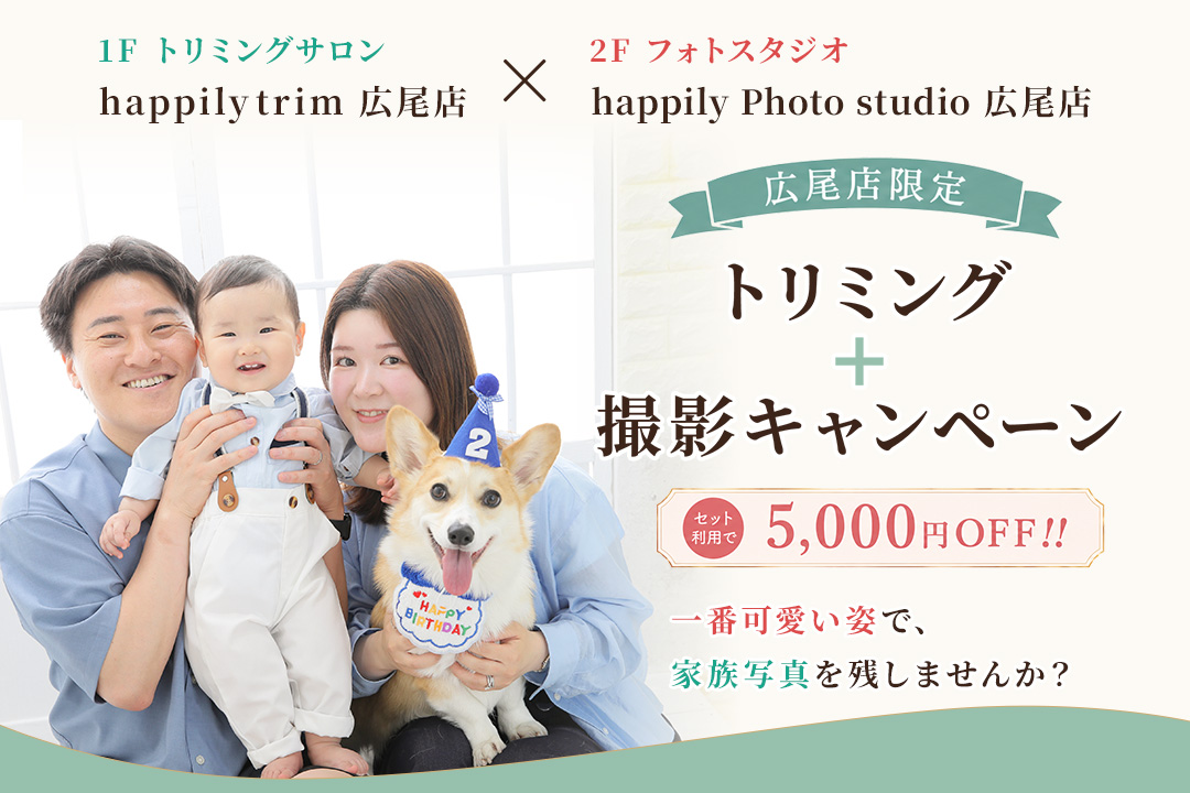【広尾店限定】トリミング＋撮影キャンペーン★わんちゃんも撮影前にトリミングして、もっと可愛く、もっと素敵に、一生の宝物になるかけがえのない一枚を+.*.+.*